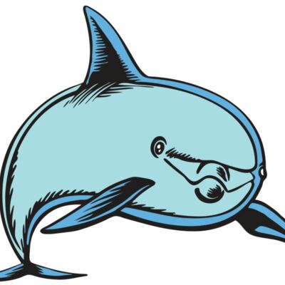 BAW DOLPHIN 04 RC Thumbnail