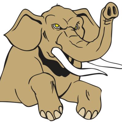 AR ELEPH 19 RC Thumbnail