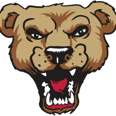 AR9 BEAR HD 01 RQC Thumbnail