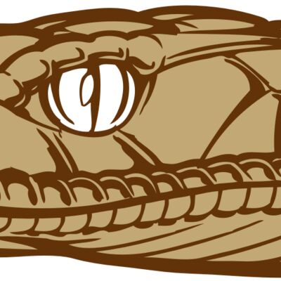 BAW SNAKE 12 RC Thumbnail